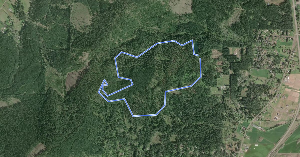Маршрут Section 36 Loop Trail на спутниковом снимке
