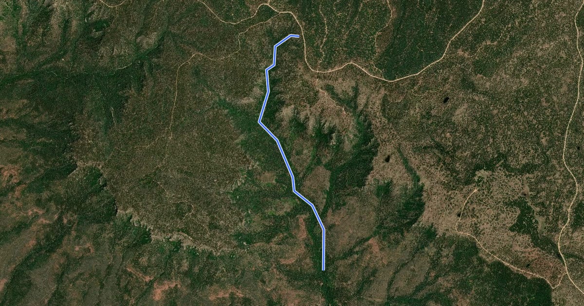 Маршрут See Canyon Trail #184 на спутниковом снимке
