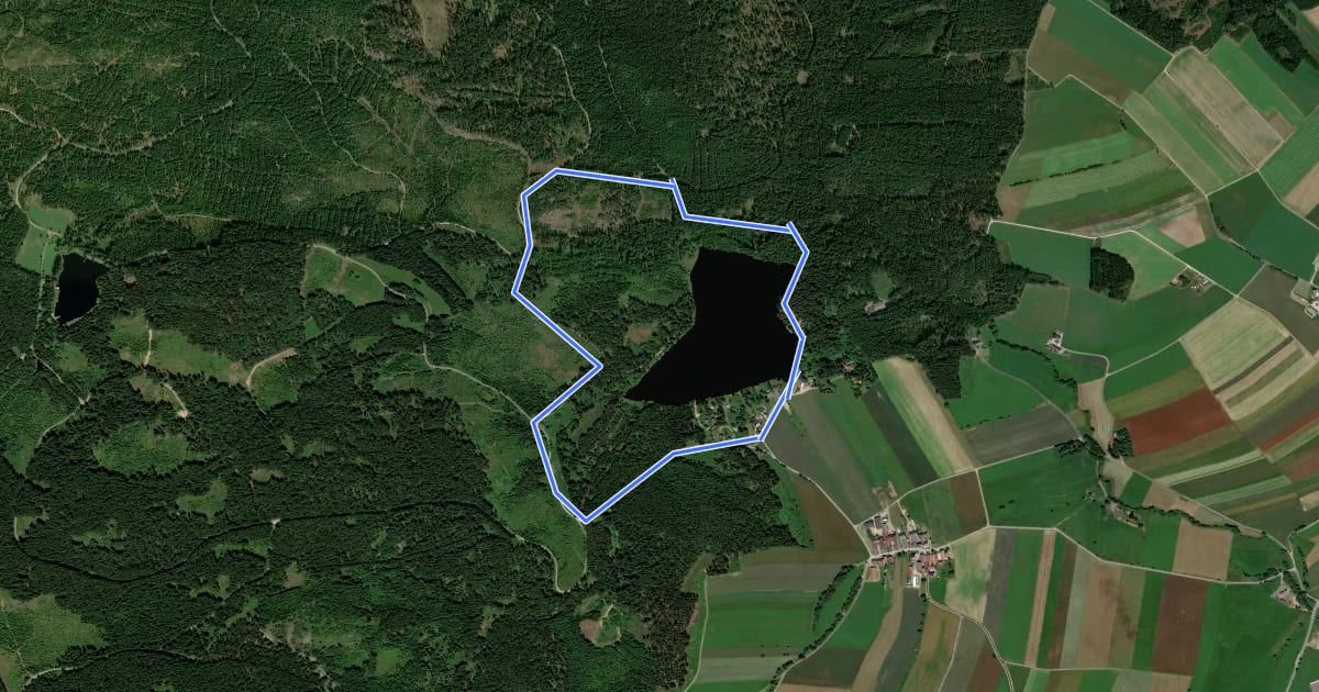 Маршрут See- Wald-Rundweg на спутниковом снимке