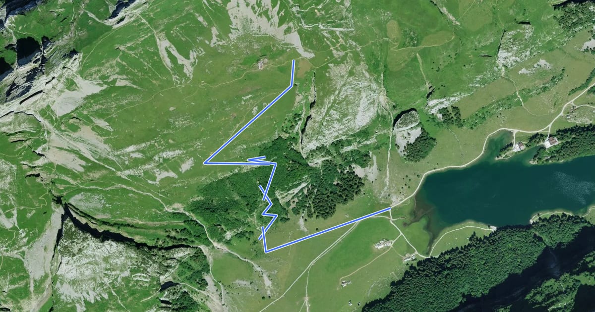 Маршрут Seealp - Altenalp на спутниковом снимке