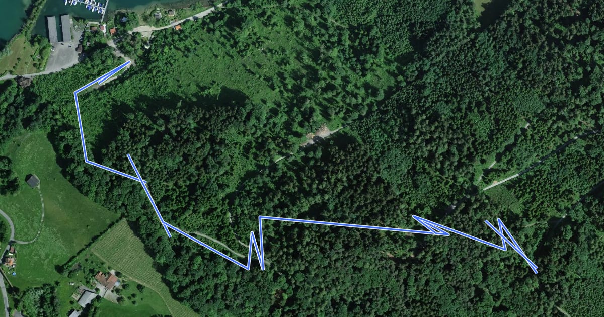 Маршрут Seewald Trail на спутниковом снимке