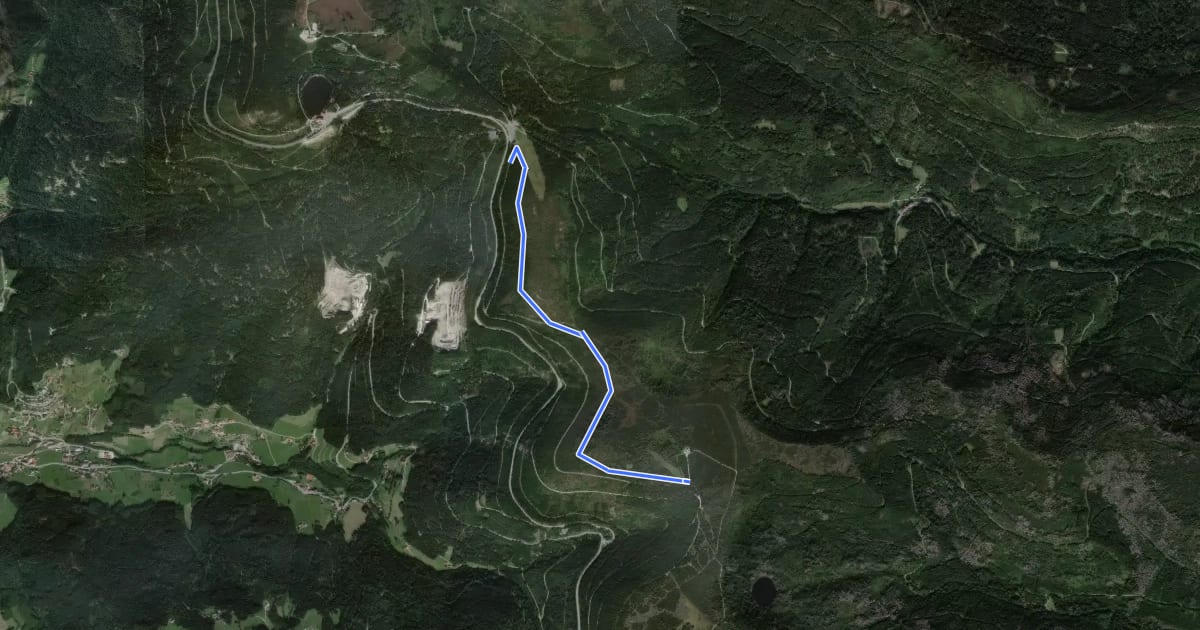 Маршрут Seibelseckle - Skilift Darmstädter Hütte на спутниковом снимке