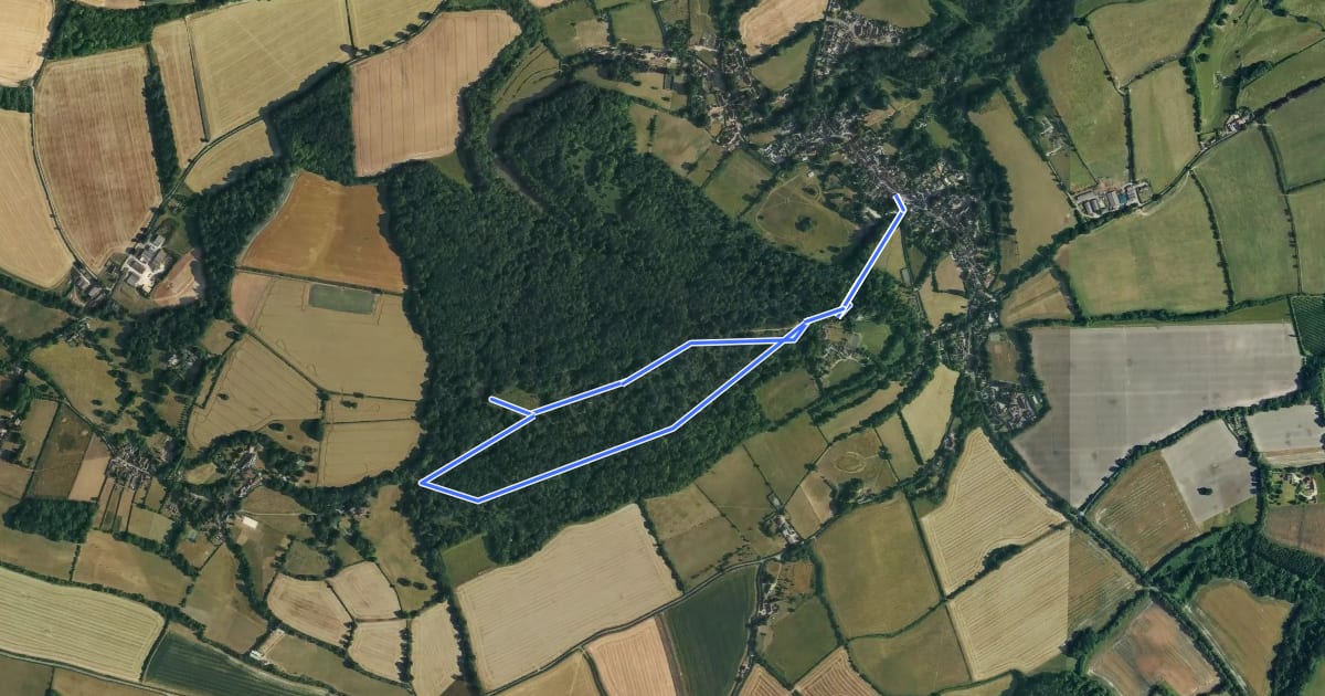 Маршрут Selborne Common Walk, Selborne на спутниковом снимке