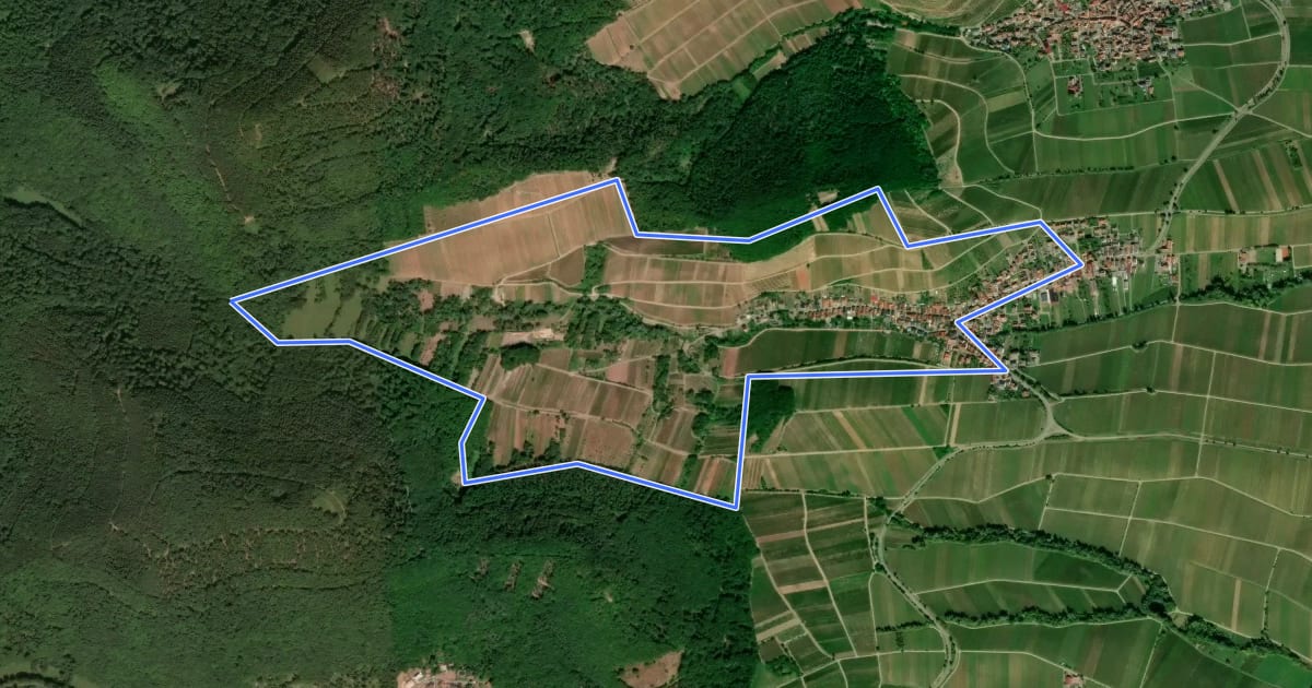 Маршрут Seligmacherweg Ranschbach на спутниковом снимке