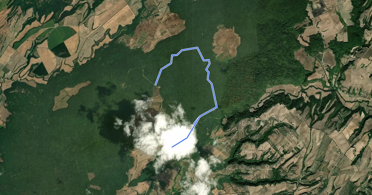Маршрут Selva del Lamone на спутниковом снимке