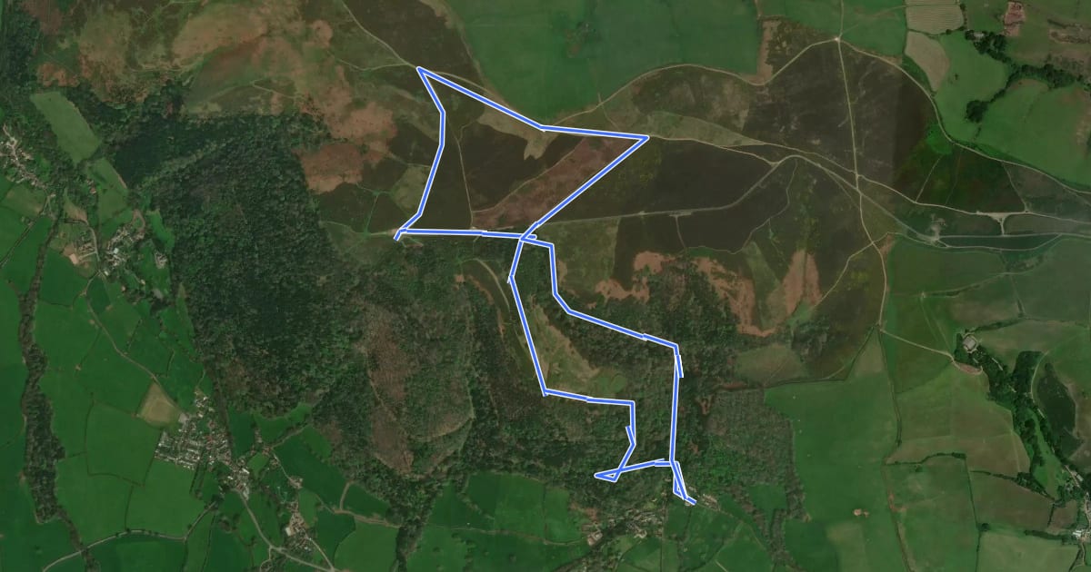 Маршрут Selworthy and Bury Castle circular walk на спутниковом снимке
