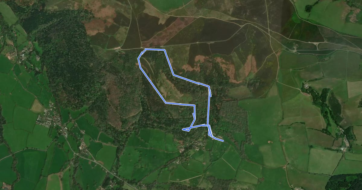 Маршрут Selworthy Circular Pink Route, Holnicote Estate на спутниковом снимке