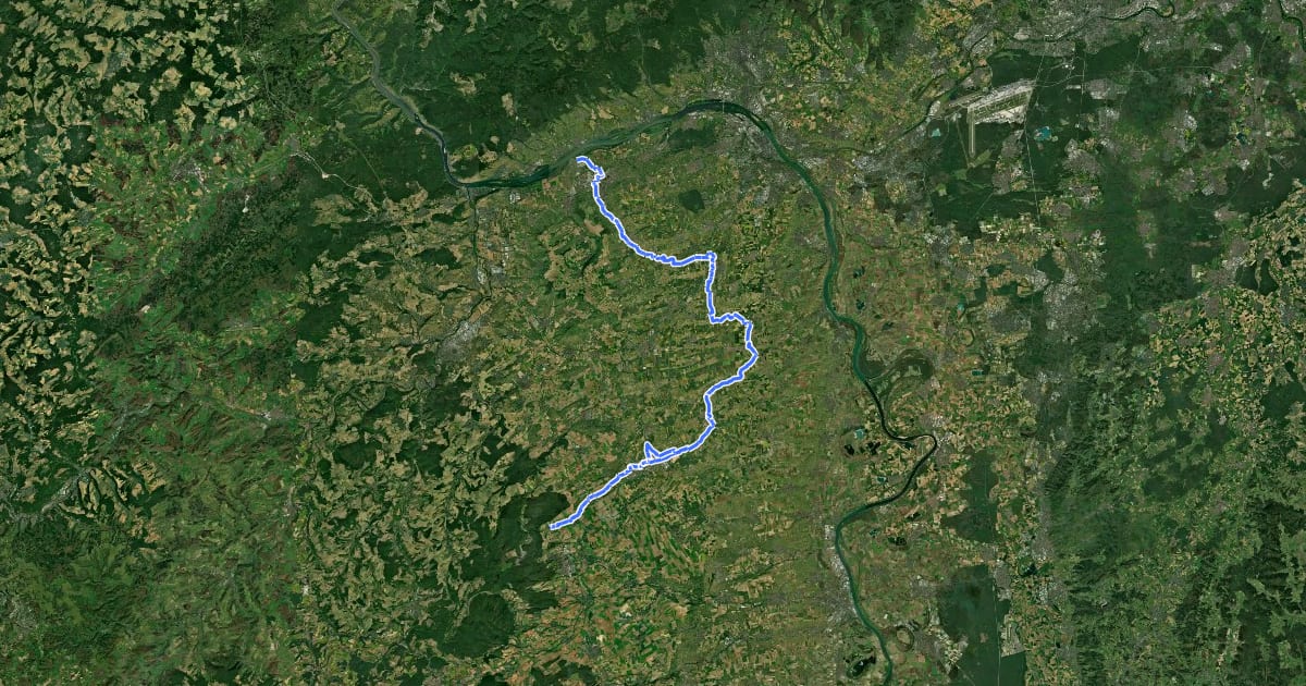 Маршрут Selztalradweg на спутниковом снимке