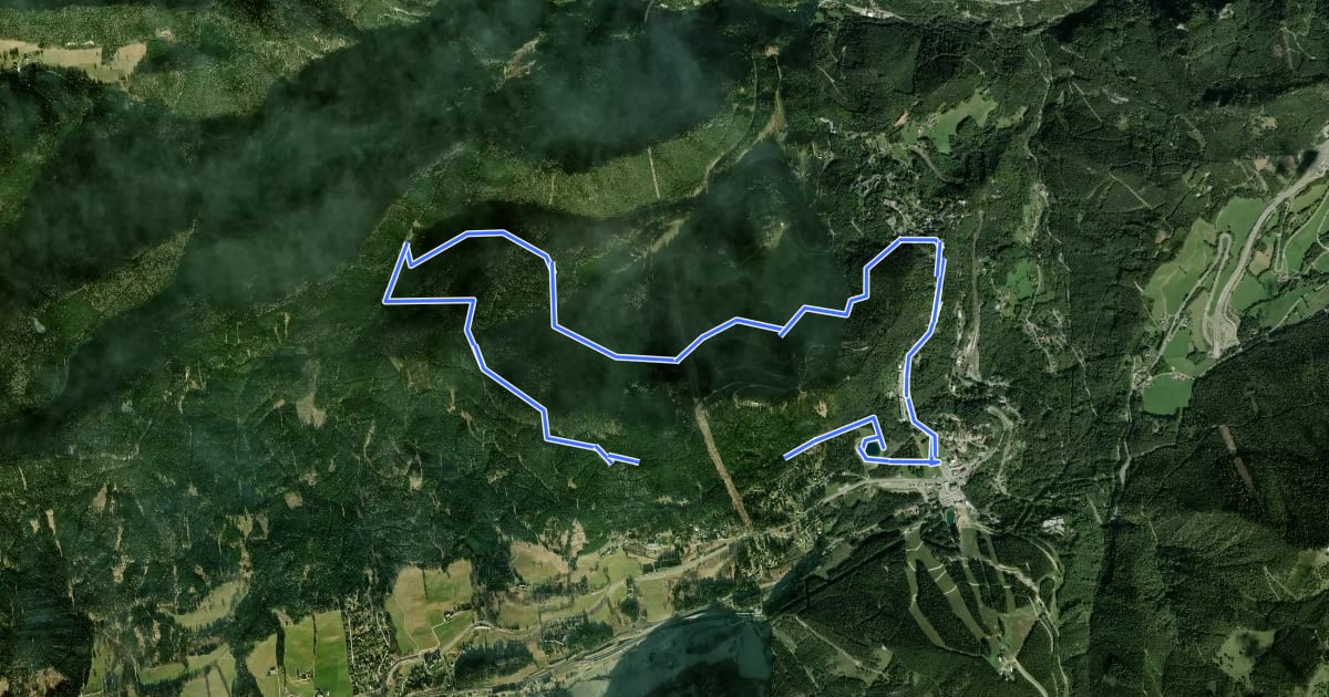 Маршрут Semmering TVN Rundwanderweg на спутниковом снимке