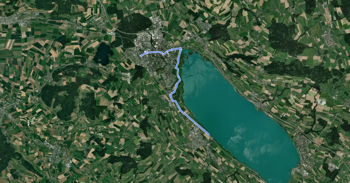 Маршрут Sempachersee-Moosweg на спутниковом снимке