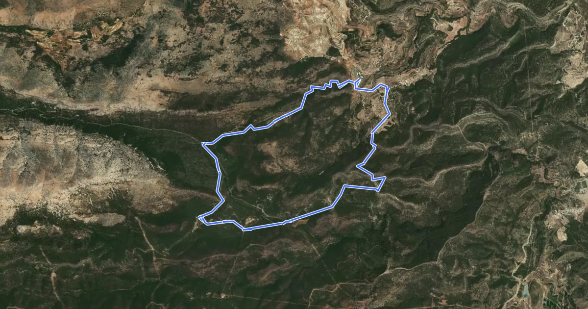 Маршрут Sendero de El Berro на спутниковом снимке