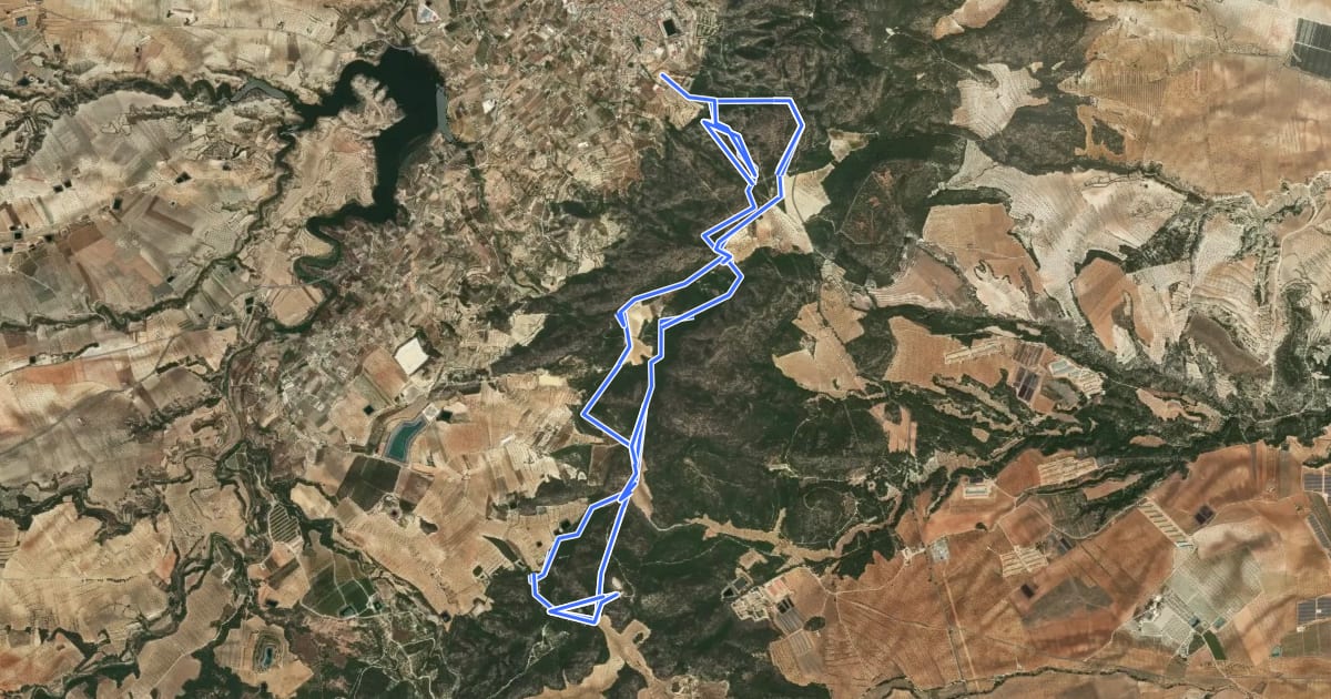Маршрут Sendero de La Almoloya de Pliego на спутниковом снимке