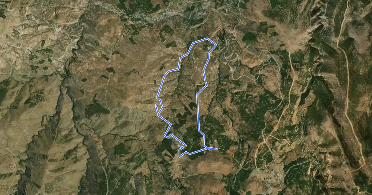 Маршрут Sendero de las Encinas Milenarias на спутниковом снимке