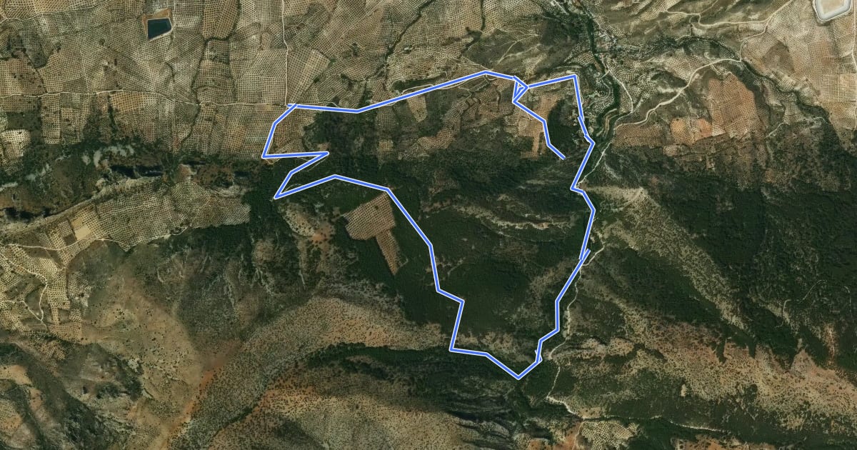Маршрут Sendero de Las Viñas на спутниковом снимке