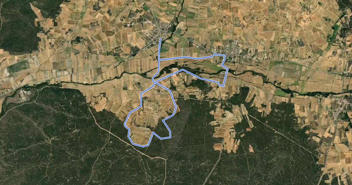 Маршрут Sendero de las Viñas на спутниковом снимке