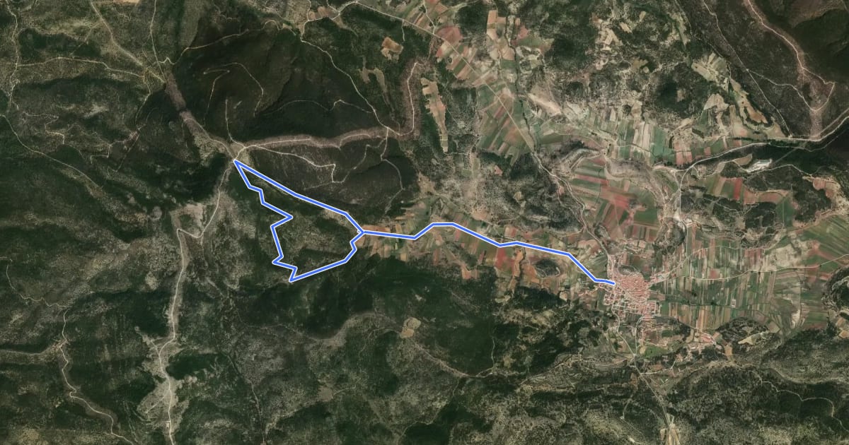Маршрут Sendero de Torrelahuerta на спутниковом снимке