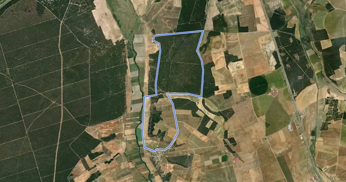 Маршрут Sendero del Alcornocal de Foncastín на спутниковом снимке