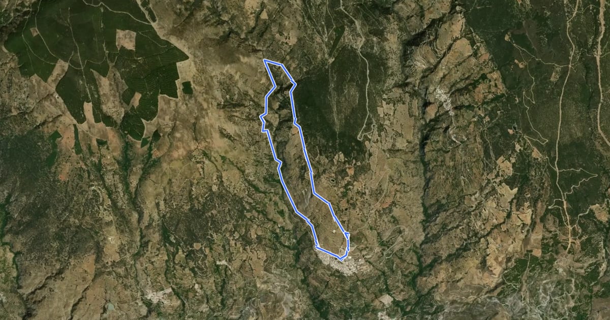 Маршрут Sendero del Castaño Milenario на спутниковом снимке