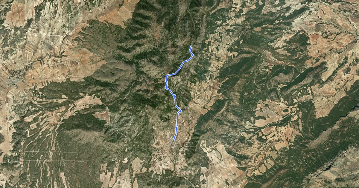 Маршрут Sendero del Cerro de la Selva на спутниковом снимке