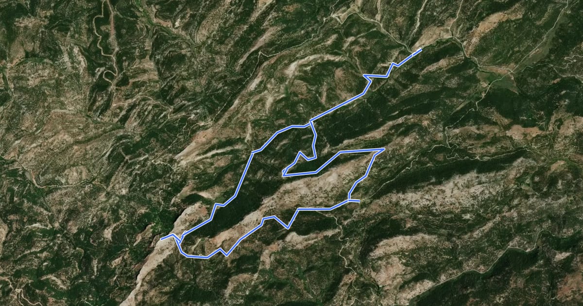 Маршрут Sendero del Tejo Viejo на спутниковом снимке