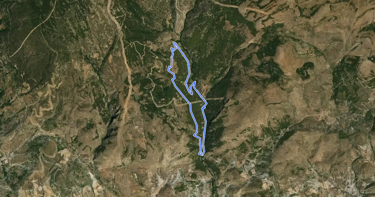 Маршрут Sendero Monterrey на спутниковом снимке