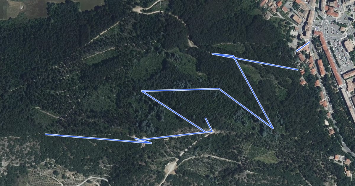 Маршрут Sentier botanique du Molard на спутниковом снимке