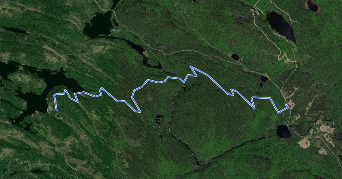 Маршрут Sentier Chute-du-Diable на спутниковом снимке