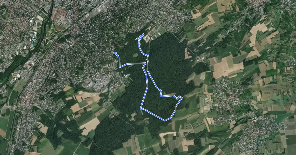 Маршрут Sentier circulaire René Thomann - Tannenwald на спутниковом снимке