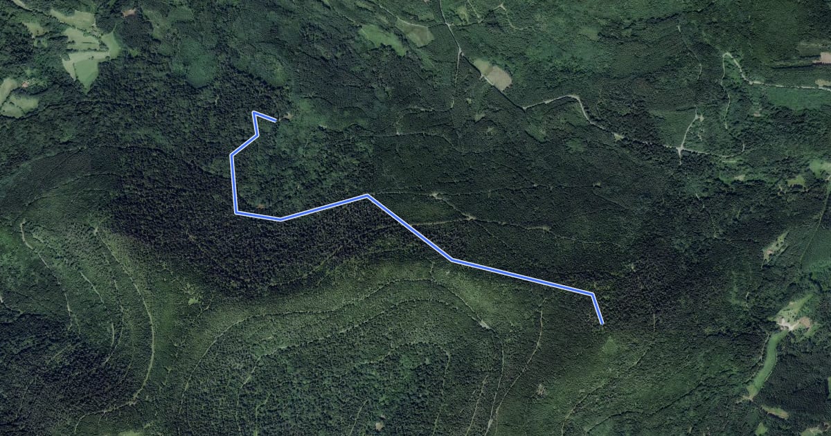 Маршрут Sentier Cuny на спутниковом снимке