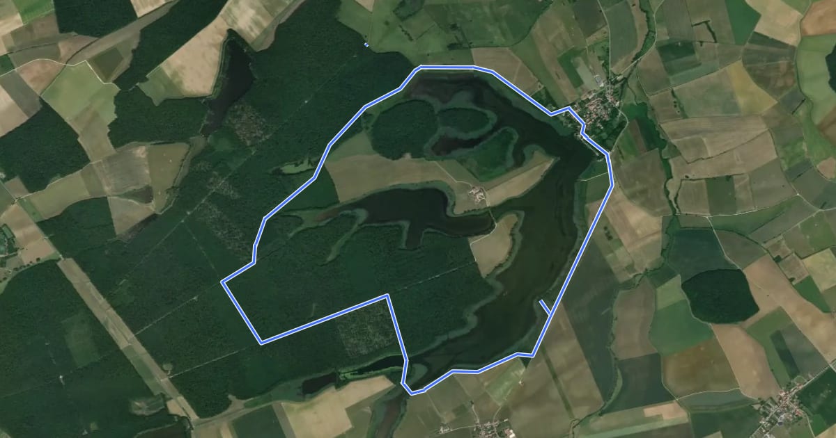 Маршрут SENTIER DE DECOUVERTE DE L'ETANG DE LACHAUSSEE на спутниковом снимке