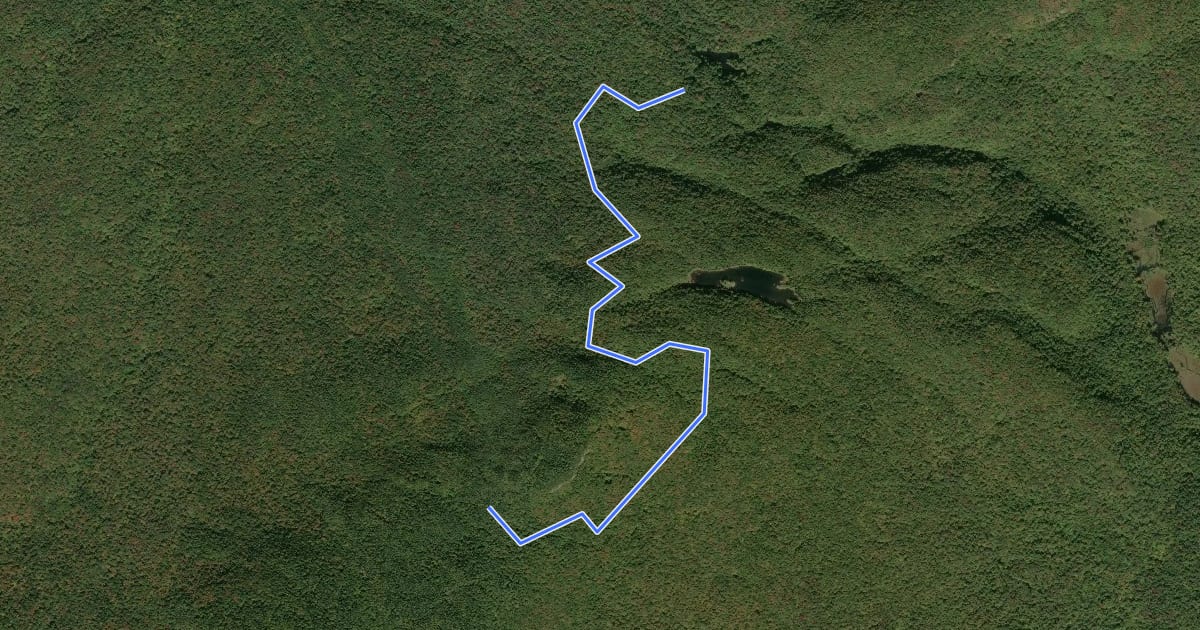 Маршрут Sentier de l'Estrie, Mont Écho на спутниковом снимке