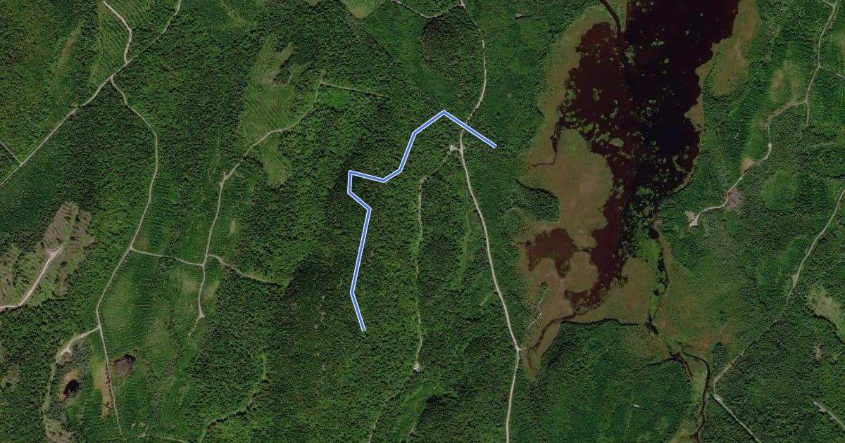 Маршрут Sentier de l'Érablière на спутниковом снимке