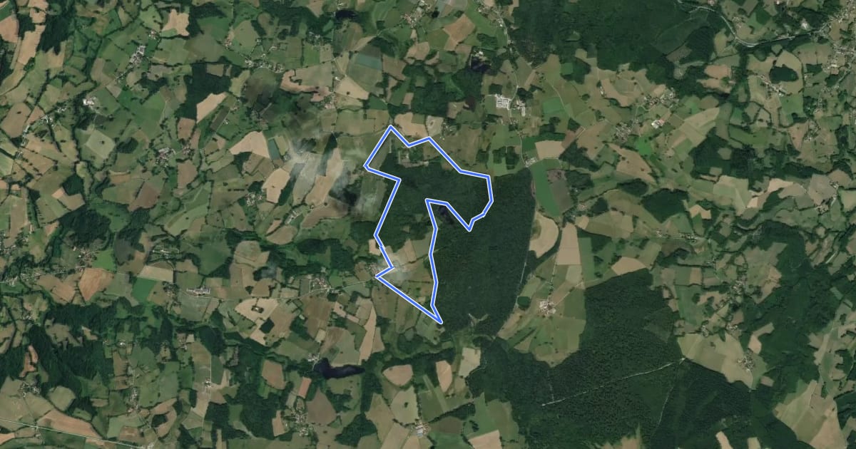 Маршрут Sentier de l’étang des Landes на спутниковом снимке