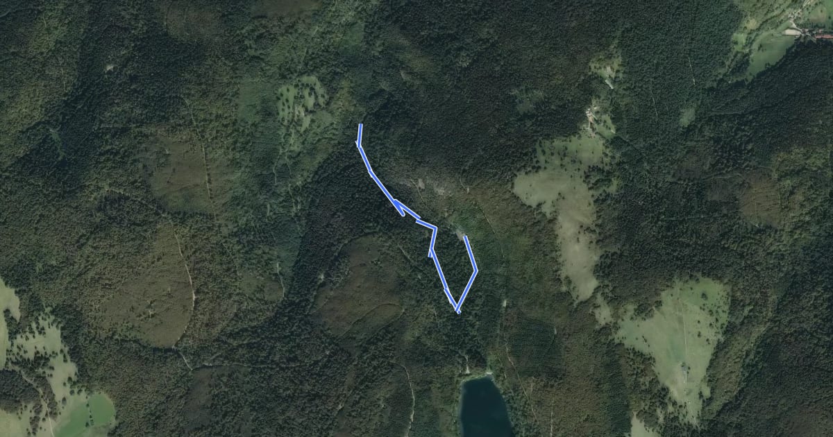 Маршрут Sentier de la Cascade du Seebach на спутниковом снимке
