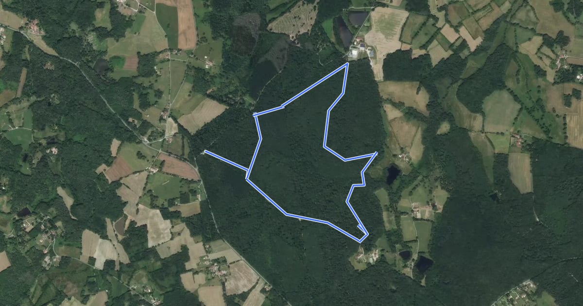 Маршрут Sentier de la Croix du Loup на спутниковом снимке