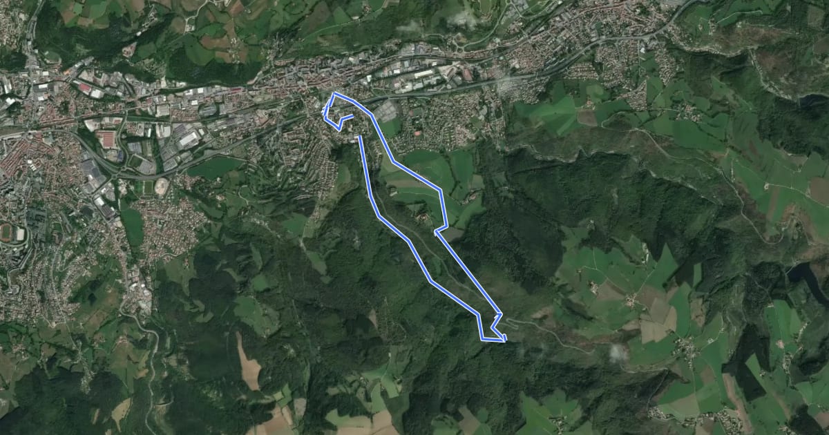 Маршрут Sentier de la flore на спутниковом снимке