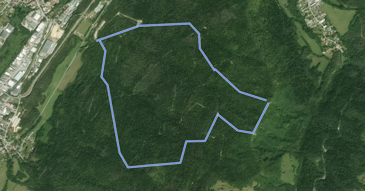 Маршрут Sentier de la Foret Noir на спутниковом снимке