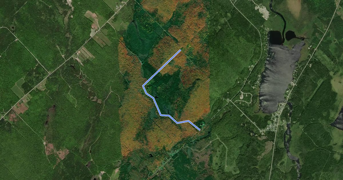 Маршрут Sentier de la Montagne du Lac на спутниковом снимке