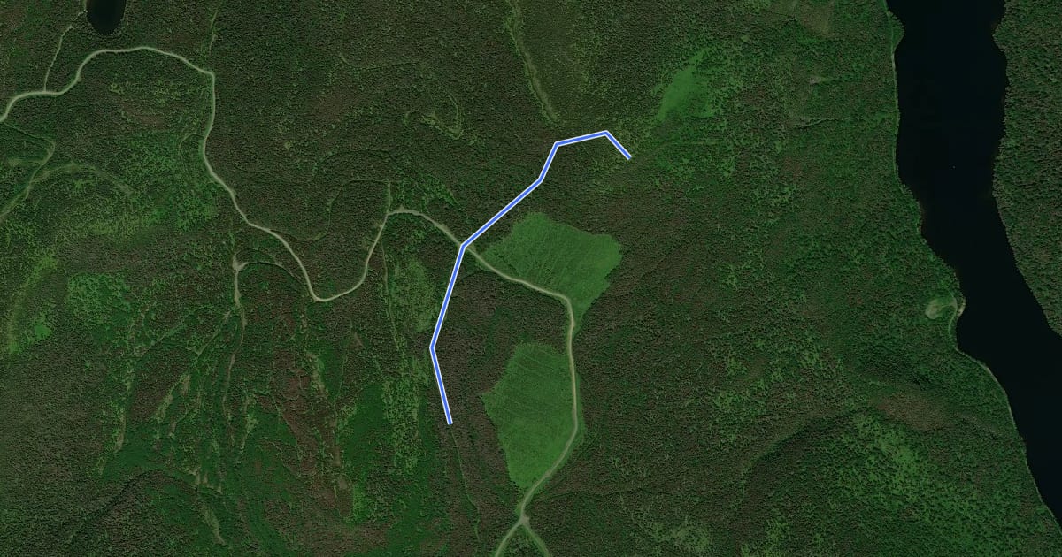 Маршрут Sentier de la montagne à Valcourt на спутниковом снимке
