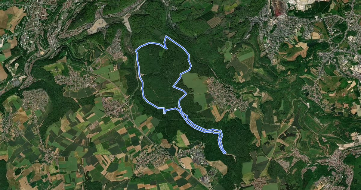 Маршрут Sentier de la Moulaine на спутниковом снимке
