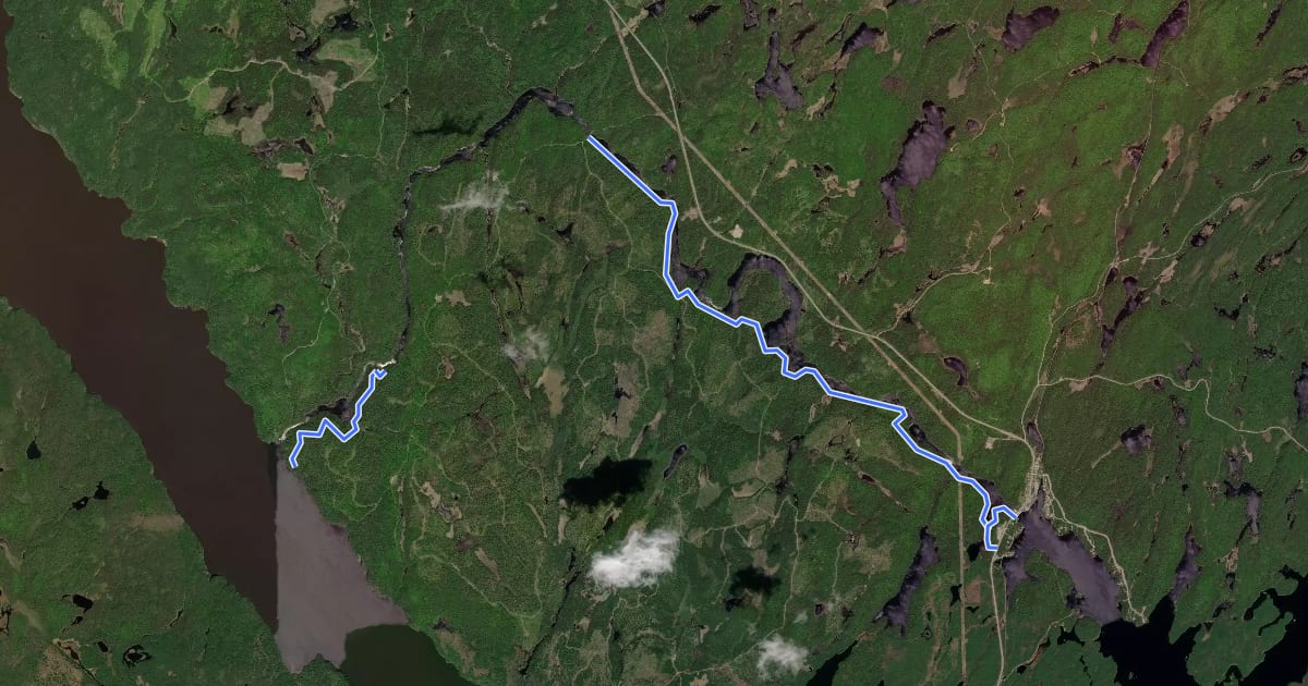 Маршрут Sentier de la Rivière Kipawa на спутниковом снимке