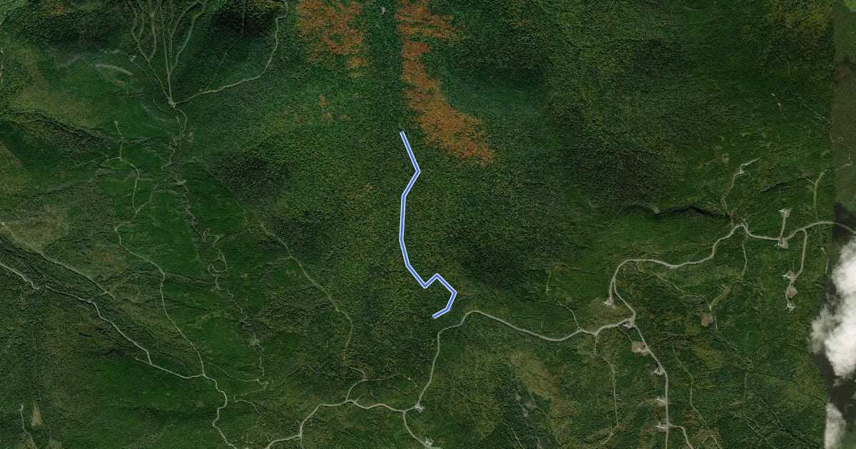 Маршрут Sentier de la Slousse на спутниковом снимке