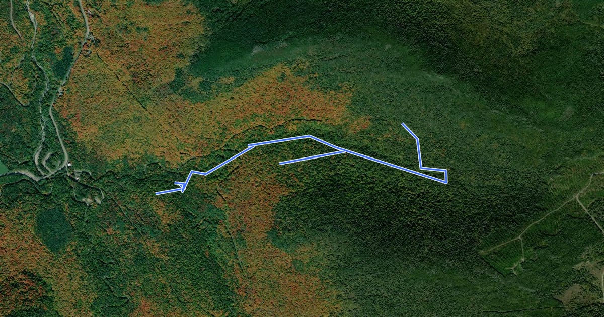 Маршрут Sentier de la Vieille Forêt на спутниковом снимке