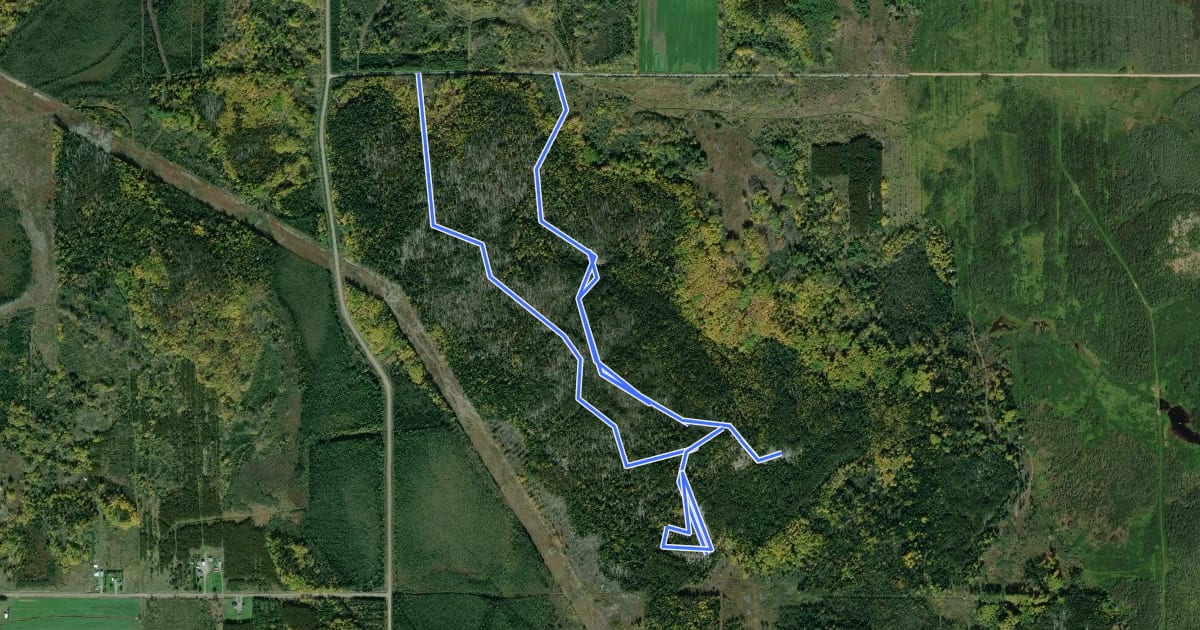 Маршрут Sentier de Montagne à Fred на спутниковом снимке
