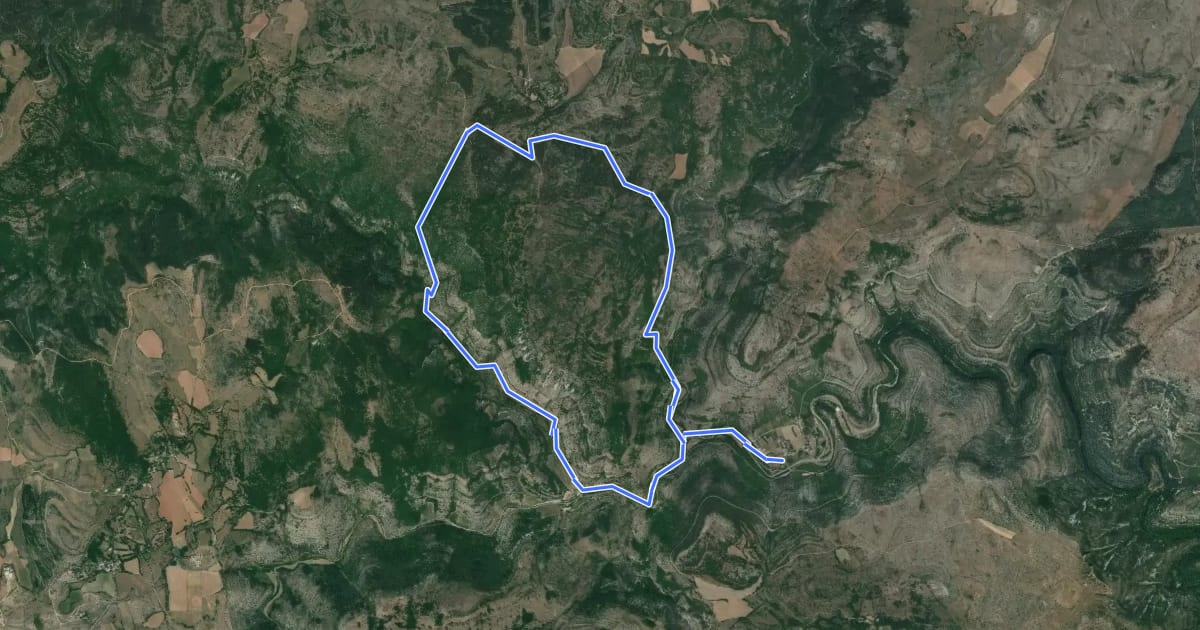 Маршрут Sentier de Régagnas на спутниковом снимке