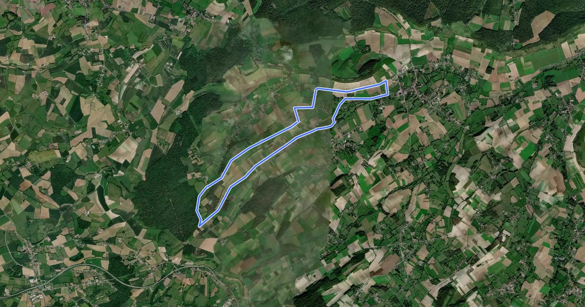 Маршрут Sentier de Saint-Martin на спутниковом снимке