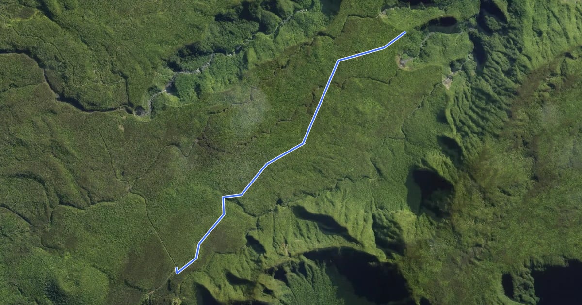 Маршрут sentier de Takamaka на спутниковом снимке