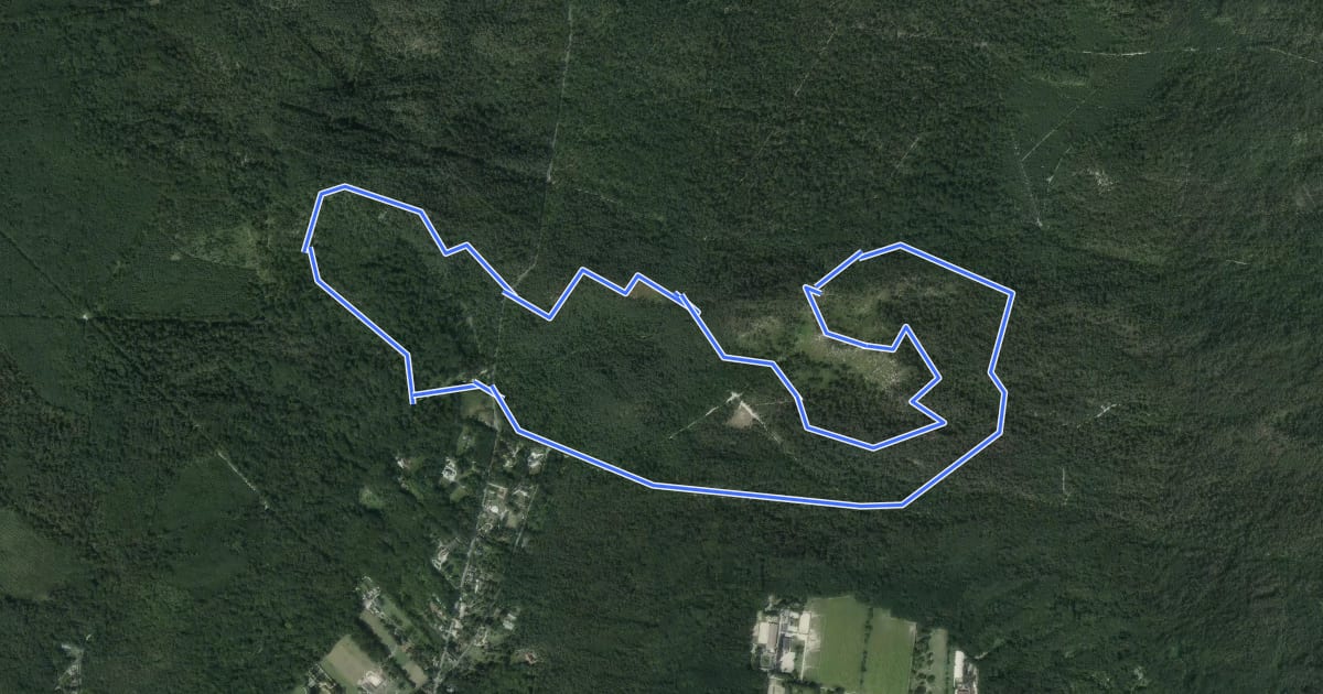 Маршрут Sentier Denecourt-Colinet 11 на спутниковом снимке