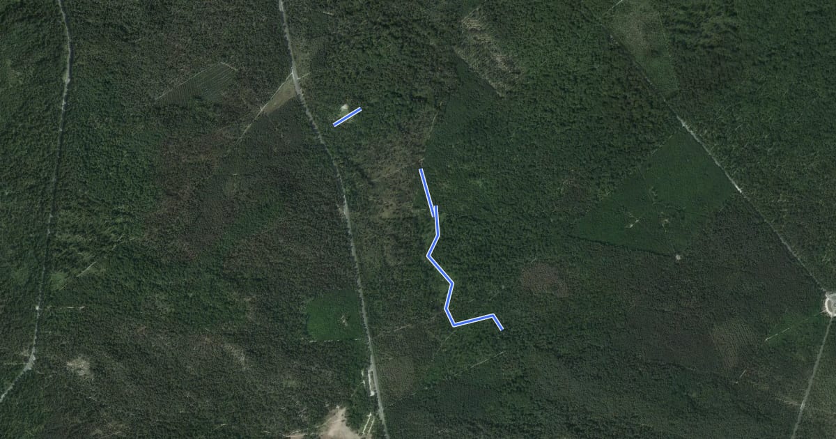 Маршрут Sentier Denecourt-Colinet 12-15 на спутниковом снимке