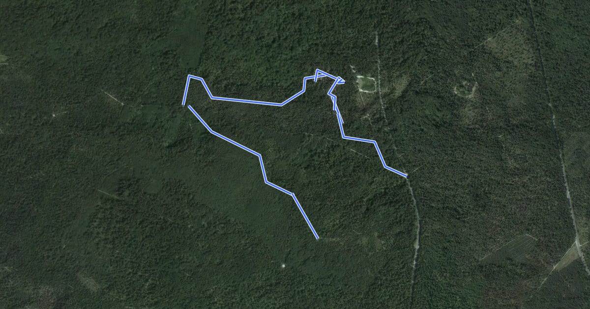 Маршрут Sentier Denecourt-Colinet 12 Ouest на спутниковом снимке